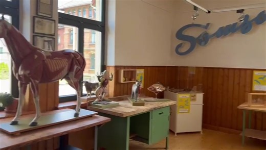 1.9K views · 39 reactions | A fabulous visit to the Somso Anatomy Model Museum in Germany yesterday - it was fascinating and not just horses.....Gillian takes us on a whistlestop tour  | Horses Inside Out | Facebook