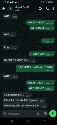 tried my best