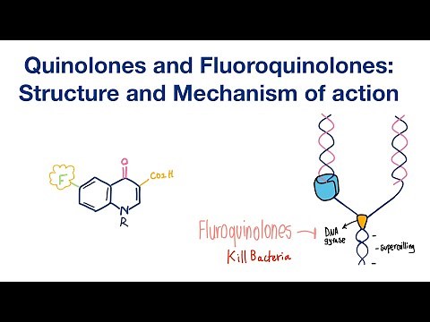 Fluoroquinolones and Quinolones: Structure and Mechanism of action / Infectious Disease