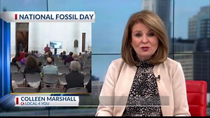 Statehouse gives free fossil tour for National Fossil Day