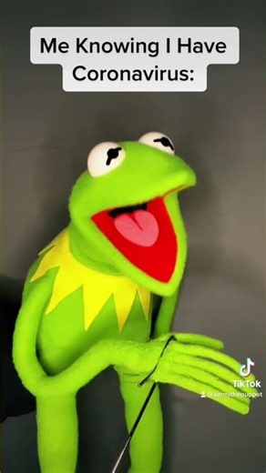 ARE YOU READY !! TIKTOK MEME With Kermit The Frog