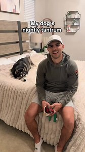 1.1M views · 44K reactions | Squeaky toys are white noise to Blue  #husky #dog #dogs #huskies #dogsoffacebook #huskylovers #huskylife | The Moriarty Family | Facebook