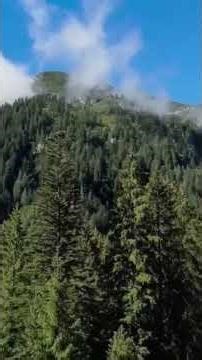 Your Internal Evolution's Architecture