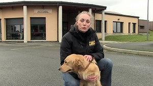 7.7K views · 320 reactions | Découvrez les coulisses de notre école de Normandie au côté de Charlotte, responsable du Centre  Merci au Paris-Normandie pour ce reportage !  | Centres Paul Corteville - Association Chiens Guides d'Aveugles | Facebook
