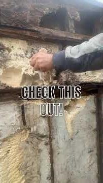 Spray Foam vs Moisture: What Homeowners Should Know #commercialrenovation #metexteriors