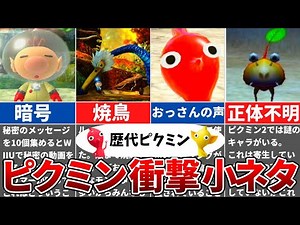 [Pikmin series] A collection of surprising little tidbits hidden in Pikmin