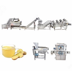 Fully Automatic Ginger Juice Making Processing Machine