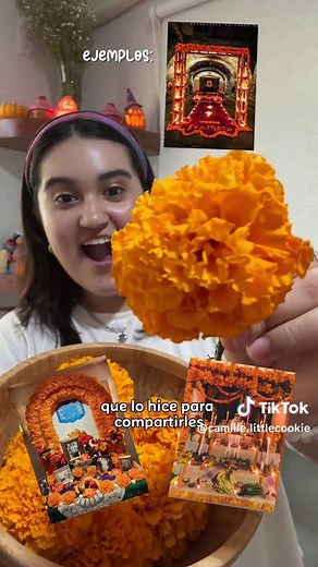 Top 12 Recetas Favoritas del 2025