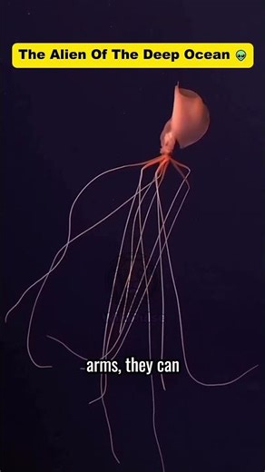 The Most Alien Creature Found in the Ocean! 👽 #Shorts #wildpulse #viral