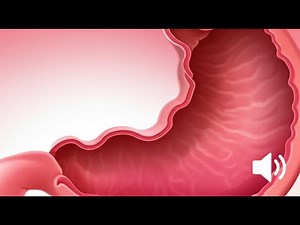 1 Hour Loop of Hungry Stomach Growl Sound Effect - Deep & Low Rumbling