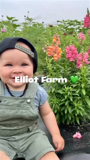 There is something special about this place — the people, the food, and the community we share. As we get closer to the season, we’re so excited to open our doors and welcome you back to Elliot Farm. Stay tuned for updates, events, and everything we’re growing for you this year. 💚 📍Elliot Farm @elliotfarm | Lakeville, MA 🕚Opening May 1, 2026 | Daily 10 AM – 6 PM 💳 We proudly accept EBT, SNAP, HIP & Farmers Market Coupons 🌱Join our CSA: elliotfarm.org/csa #elliotfarm #localfood #communityfar
