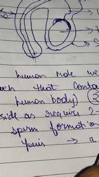 class 10 boards how do organisms reproduce Male reproduction