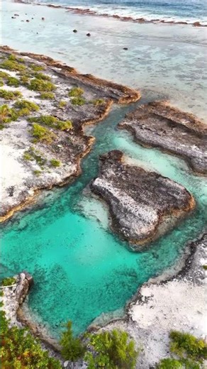 #sea#borabora#slowlifevocation#shortvideo #viral
