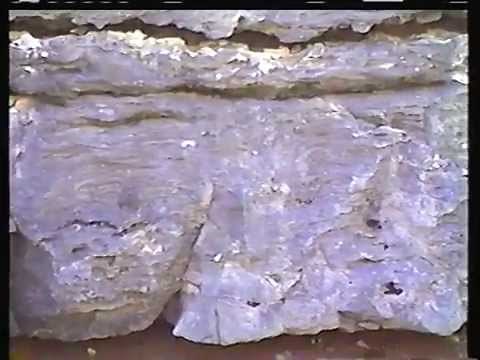 Stromatolites in the Cambrian Bonneterre Formation of Missouri