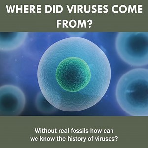 Where Did Viruses Come From? 🦠 | Eons • PBS