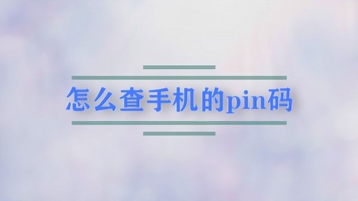 怎么查手机的pin码