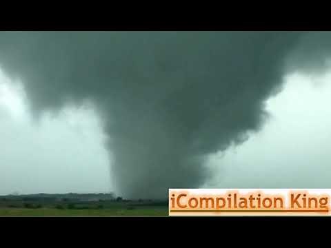 Flying Cows and Horses Compilation 2018