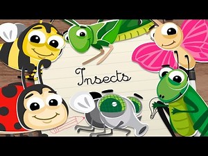 INSECTS for kids – Vocabulary for kids