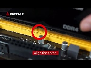 How to Install Memory Module?