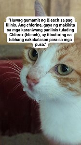 1.5M views · 10K reactions | Ang pangunahing sangkap nito, ang Sodium...