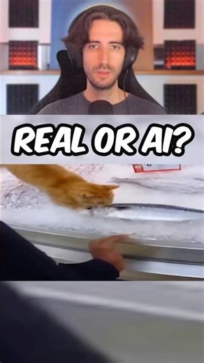 Is this orange cat Real or Ai? #reaction #ai #real #streamer