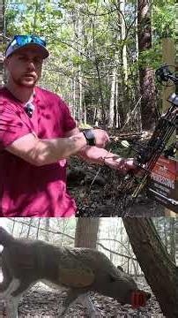 3D Archery League Week 1 Targets 17-20 #dartonarchery #tritech #archery #bowhunting #hunting