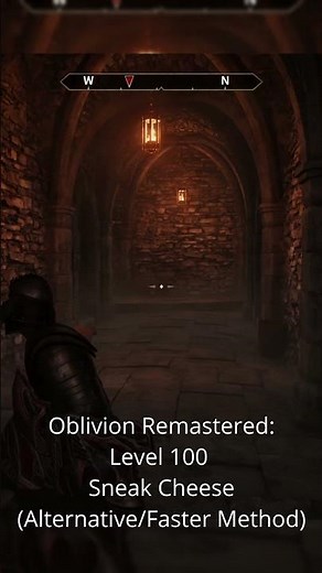 Oblivion Remaster: Easy Level 100 Guide to Sneak!