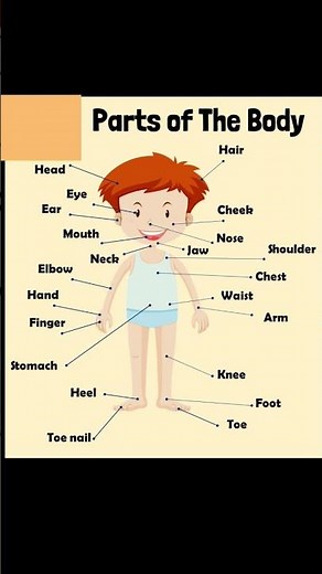 Body Parts Names Vocabulary || Human Body Parts Name In English || #humanbody #human