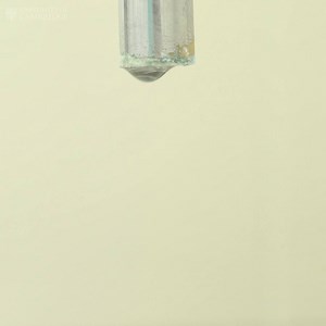 11K views · 305 reactions | Scientists have solved the riddle behind...