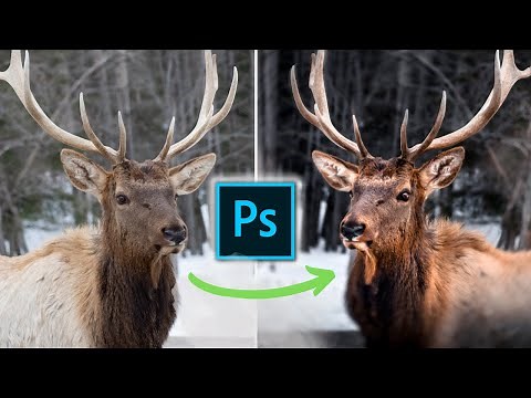 Les 3 Meilleures Techniques de Retouche Photo sur Photoshop - comment retoucher dans photoshop