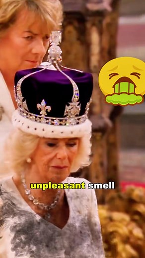 who was the woman carrying Camilla's train. #royal #celebrity #queencamilla #kingcharles | Princess daily royal