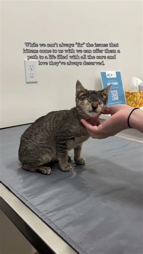 Update on Atticus! [STORY BELOW]