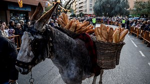 La fiesta de Sant Antoni vuelve a llenar las calles de Valencia de animales