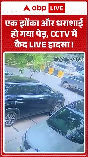 Viral Video | एक झोंका और धराशाई हो गया पेड़, CCTV में कैद LIVE हादसा | #ytshorts #breakingnews