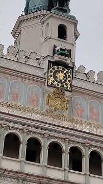 POZNAŃSKIE KOZIOŁKI ZAMARZŁY I NIE TRYKNEŁY SIĘ ??? || 5 LUTY 2026 || POZNAŃ RATUSZ || STARY RYNEK