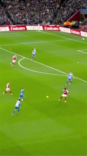Arsenal vs Brighton Match Highlights and Analysis
