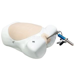 [Hot Item] Sy-Pn355 Pregnant Uterus Gynecological Laparoscopic Hysteroscopic Training Simulator