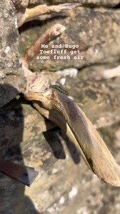 5K views · 143 reactions | Paper Panda on Reels | Facebook