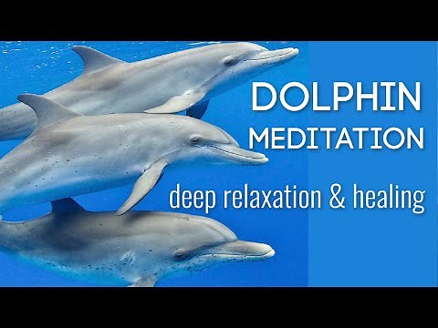 Dolphin Meditation with Time Line Healing & Gentle Kundalini Activation