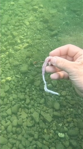 I Found a Fishing Lure in Lake Pend Oreille!