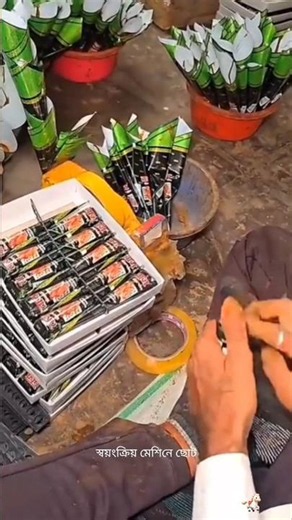 😱 How Is Henna Really Made? #facts #ytshorts #trending