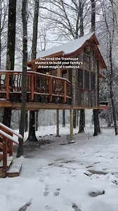 Nelson Treehouse and Supply on Instagram: "the whimsical treehouse we built for the wonderful @amyschumer 﫶 check out the full build and reveal at the link in our bio ⬆️  @michaelhegarty #treehouse #treehousemasters #treehouselife #amyschumer #cabin #treefort"
