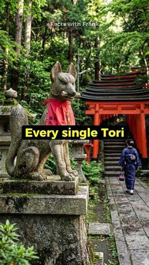 The 10,000 Secret Gates of Japan ⛩️ #shorts #japan #kyoto #amazingfacts #historyshorts