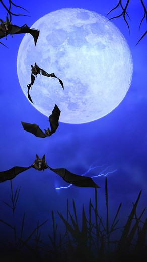 🫥 | 𝙸𝚘L𝚘 𝙲.