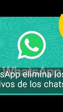 WhatsApp elimina las fotos y vídeos de un chat al borrarlo