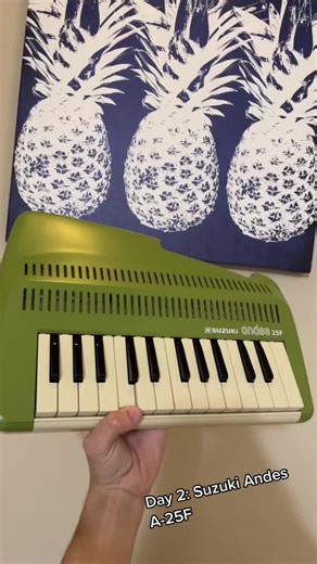 Instrument of the Day: Suzuki Andes A-25F