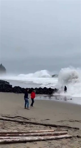 Hooked a Living Legend: The 4-Hour Struggle with a Titan #trends #funny #fishing #ocean #sea