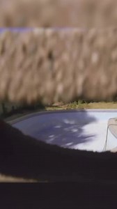 6.4K views · 196 reactions | This is skateboarding!! 60+ draining pools and ripping  Salba is out there making it happen  Go check out his episode that just went live on Santa Cruz Skateboards | Dave Bachinsky | Facebook