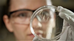 Scientists use DNA sequencing to track spread of coronavirus