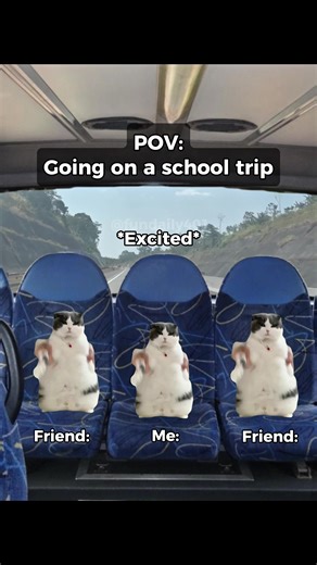 Going on a Memorable School Trip Experience